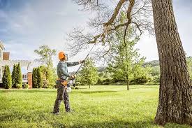 Best Lot and Land Clearing  in Bridgeport, NY