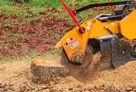 Best Weed Control  in Bridgeport, NY