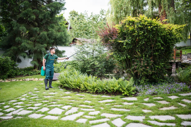Best Lawn Maintenance Plans  in Bridgeport, NY