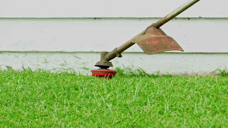 Best Root Management and Removal  in Bridgeport, NY