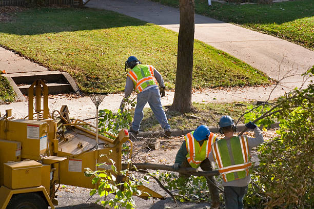 Mulching Services in Bridgeport, NY