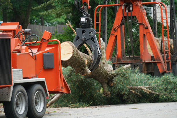 Best Aeration Services  in Bridgeport, NY